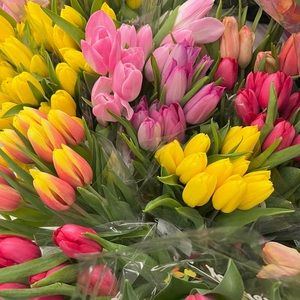 Meet your Posher, Anna y.